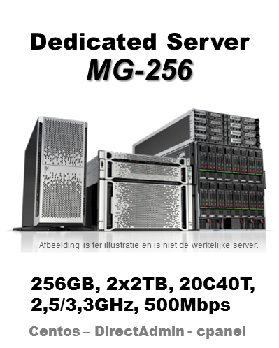 Dedicated server 256G